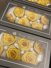 6 PRESERVED YELLOW REAL ROSES