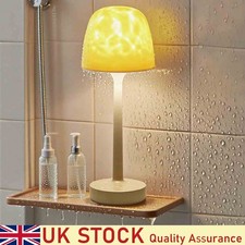 Spa-Like Shower Lamp -