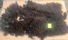 Pure Rare Breed Hebridean