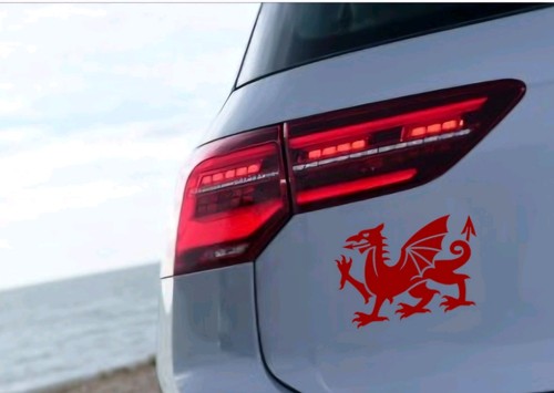 Welsh dragon cymru vinyl - dragon,