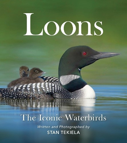 Loons stan tekiela - tekiela,