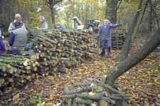 Photo 6x4 Cordwood stacks in
