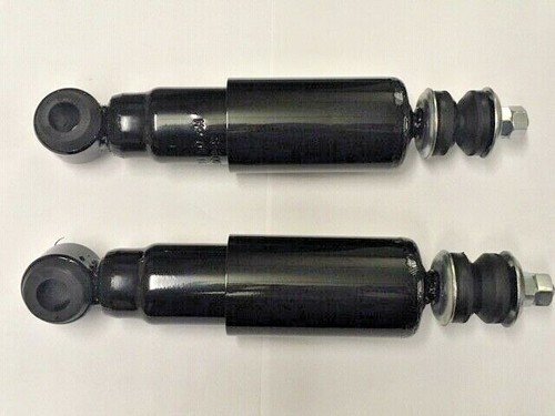 Pair front shockers triumph - front,