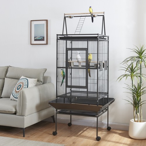 Large bird cage parrot - parrot,