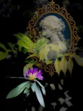 Limited Edition Fine Art Print