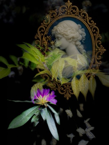 Limited edition fine art print - edition,