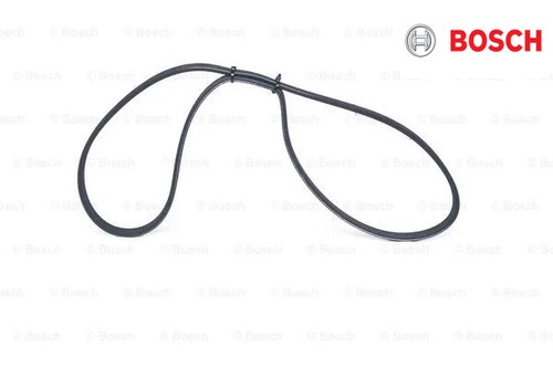 Ribbed belt 987 947 883 - belt,