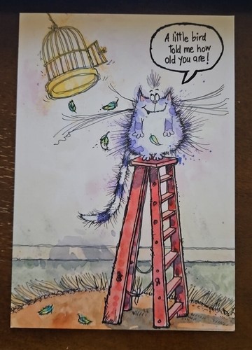 Margaret sherry cat birthday - margaret,