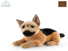 Lying German Shepherd Dog