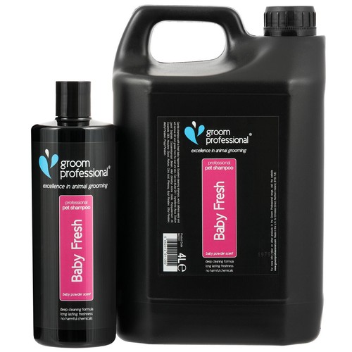 Groom professional baby - baby, fresh