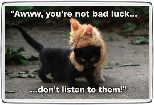 Cute black cat ginger - black, &
