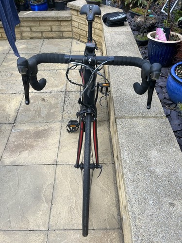 Paris roubaix champion - champion, road