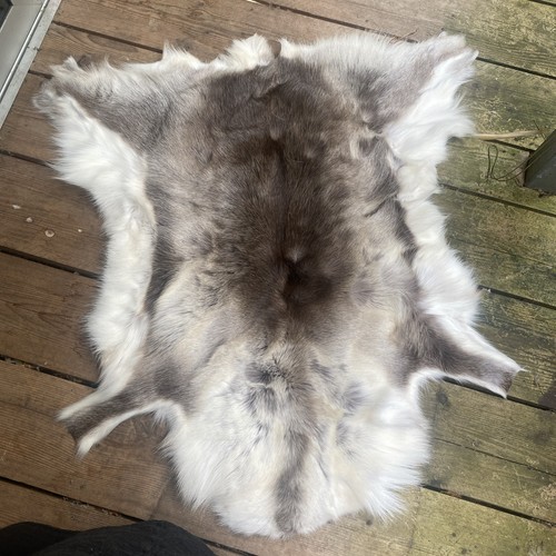 Genuine reindeer hide rug real - genuine,