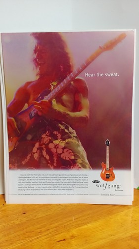 Evh wolfgang guitars print - guitars,
