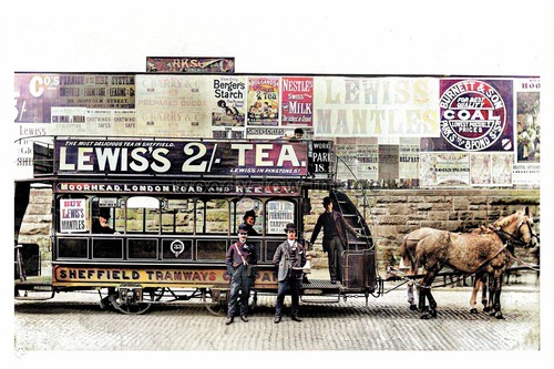 Ptc0649 sheffield horse - ptc0649, ,