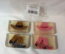 Primal Elements Western Themed