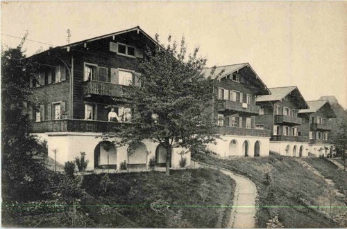 Oberwil simmental 157182 - simmental, -157182