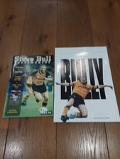 Wolverhampton Wanderers Main