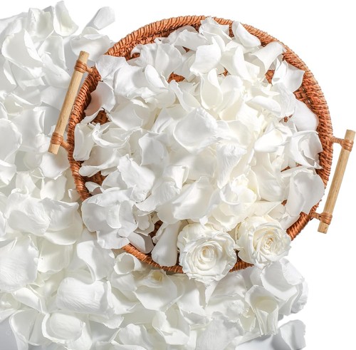 Real ivory rose petals - petals,