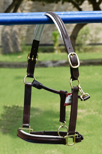 Leather head collar black - collar, black/