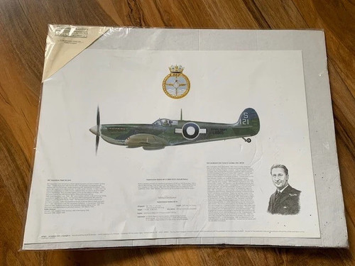 887 squadron fleet - fleet, air