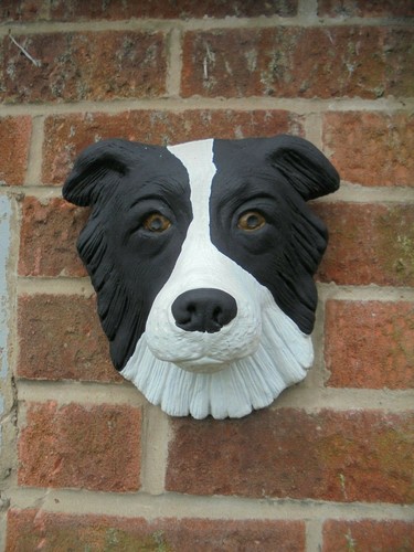 Collie dog head - , wall