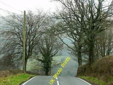 Photo 6x4 Trees near Brecon road Builth Wells/Llanfair-Ym-Muallt  c2016