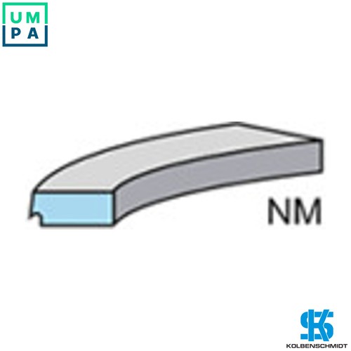 Piston ring kit - piston,