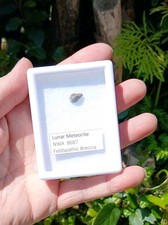Lunar meteorite nwa - lunar, 8687
