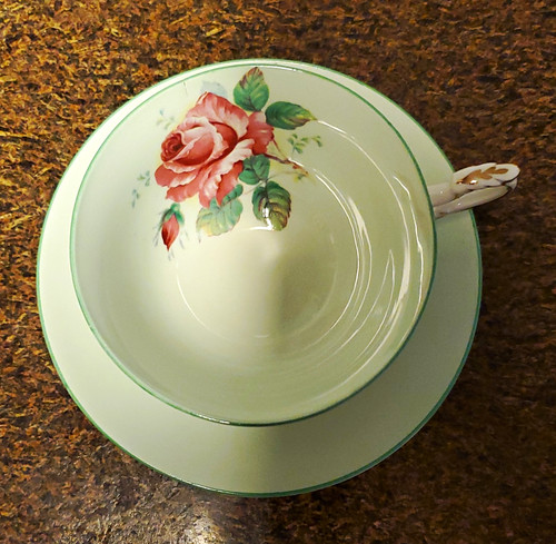 Paragon fine bone - paragon, floral