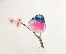 Pink Robin Bird Original
