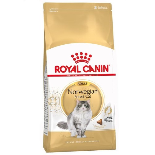 Royal canin norwegian - norwegian, forest