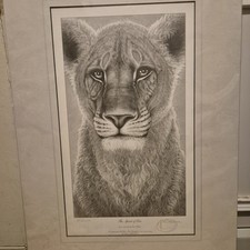 The Spirit of Elsa ~ Gary