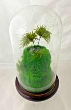 ***REDUCED*** Tropical Glass