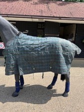 Rhinegold heavyweight stable