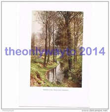 Water Lane, near East Horsley