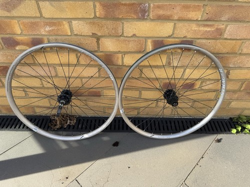 Bontrager rhythm comp disc - bontrager, 26"