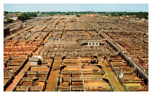 Postcard union stock yards - stock,