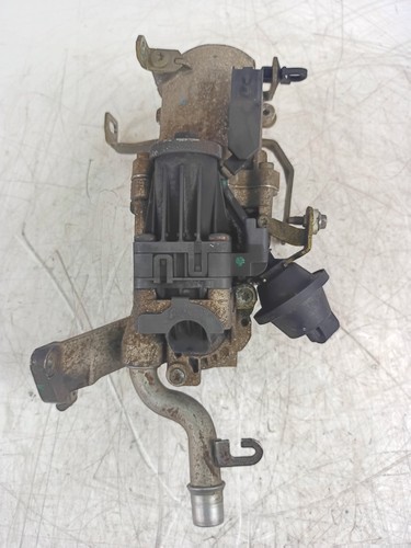 Exhaust gas cooler for - , peugeot