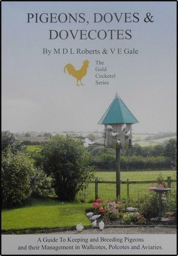 Pigeons doves and dovecotes - pigeons,
