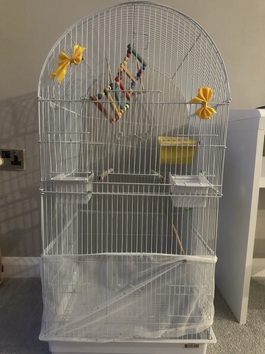Large bird cage with - bird,