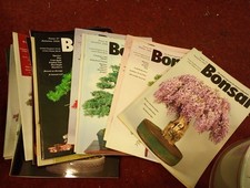 23 Editions BONSAI MAGAZINE  1996  - 2000 VGC SEE PHOTO Wakefield? British 