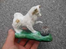 Konakovo USSR Russian dog with