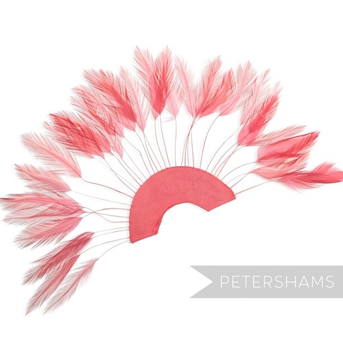 Stripped hackle feather - feather, fan