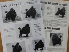 POODLE TOY & MINIATURE DOG