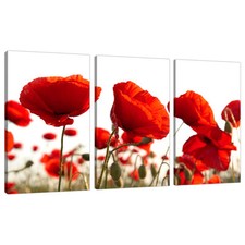 Set of Three Red Poppy Canvas