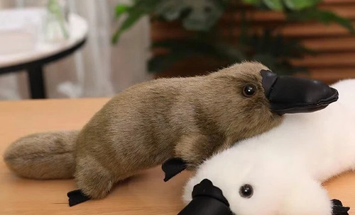 Inch stuffed animal - inch, plush