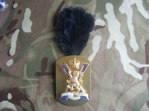 Royal regiment scotland - 1,
