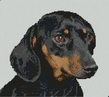 Dachshund Puppy Sausage Dog Counted Cross Stitch Kit 14 Count