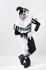 Adult Jester Joker Harlequin Halloween Fancy Dress Costume